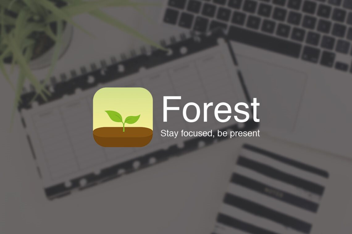 forest-cover(1).jpg