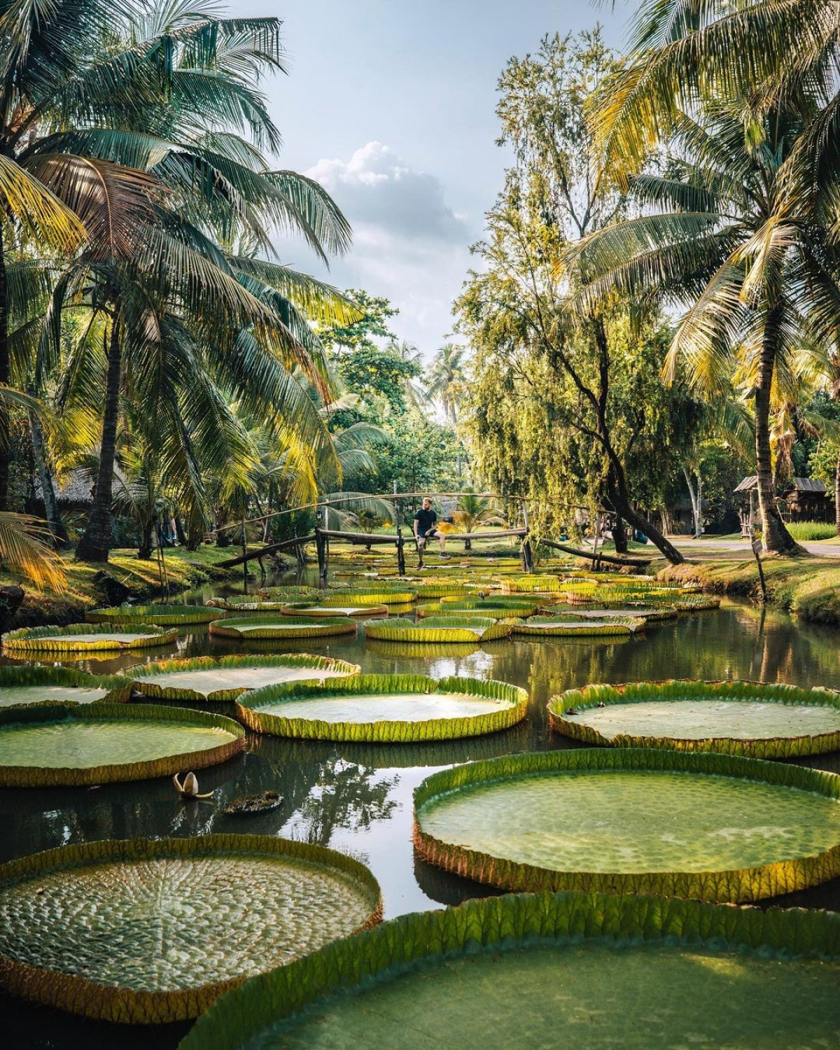 Chuyến thăm Việt Nam vào năm 2019 là một trong những hành trình mà Steven D'Avignon yêu thích nhất. Anh cho biết Việt Nam có rất nhiều cảnh đẹp trên khắp đất nước, con người cũng rất tuyệt vời. Bức ảnh này được anh chụp tại khu du lịch Bình Quới (TP.HCM).