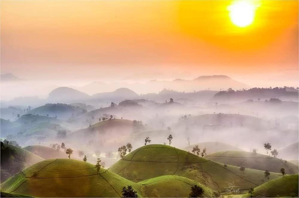 Đồi chè Long Cốc thuộc địa bàn huyện Tân Sơn, tỉnh Phú Thọ - địa điểm camping tuyệt vời với góc nhìn 360 độ và phong cảnh đẹp như cổ tích.