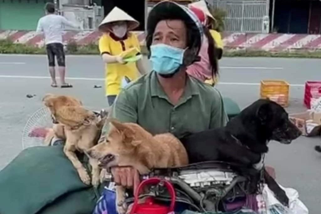 Chủ tịch huyện Trần Văn Thời: Tiêu hủy đàn chó, người dân đồng tình - 3