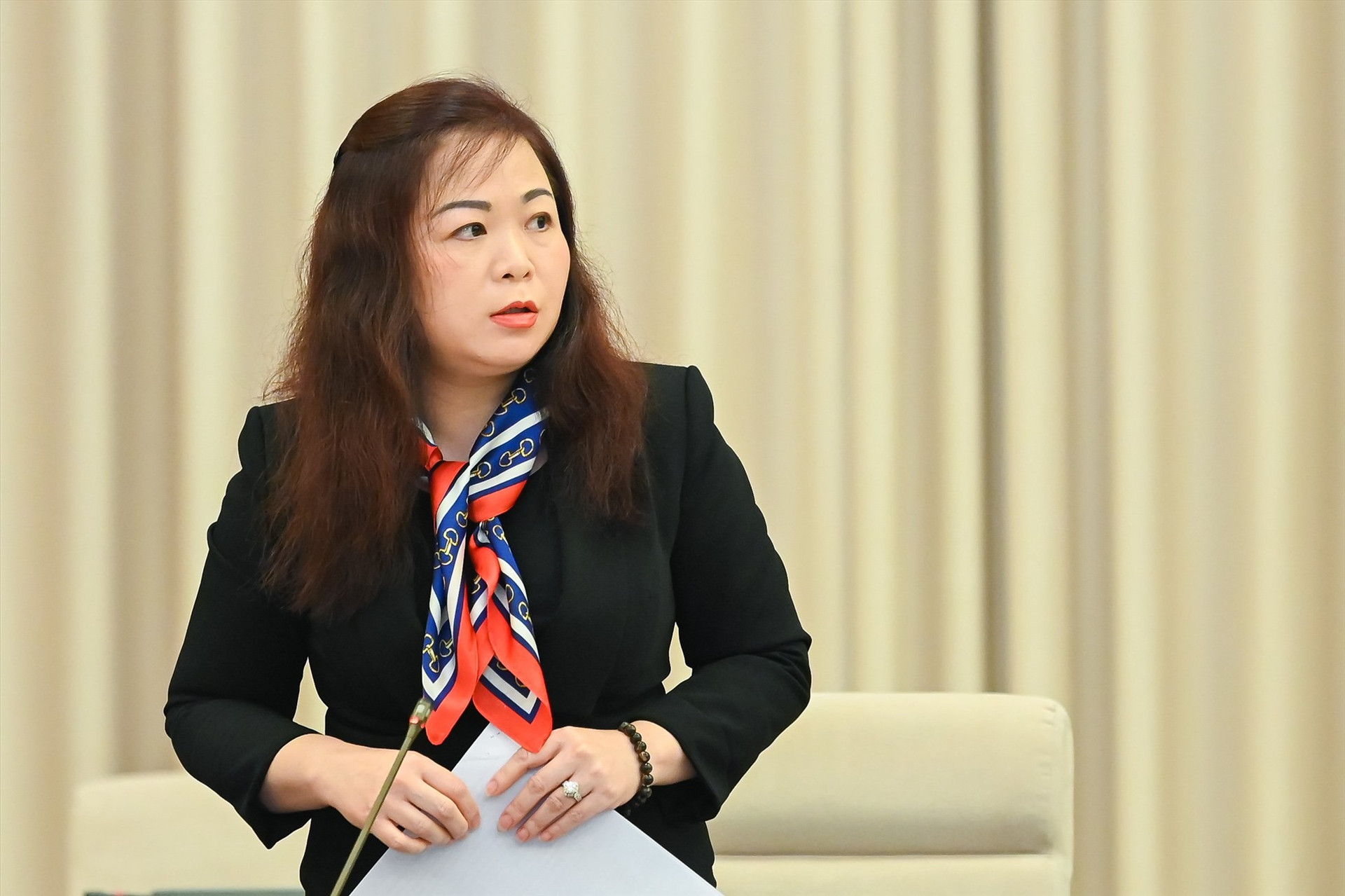 Phó Chủ nhiệm Ủy ban Tài chính và Ngân sách Vũ Thị Lưu Mai.