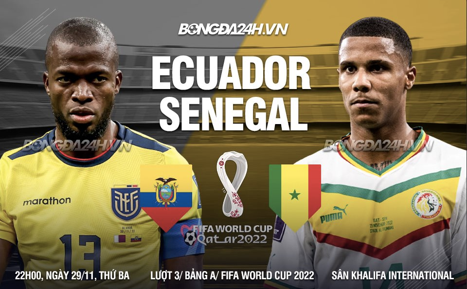 Ecuador vs Senegal lượt trận cuối bảng A