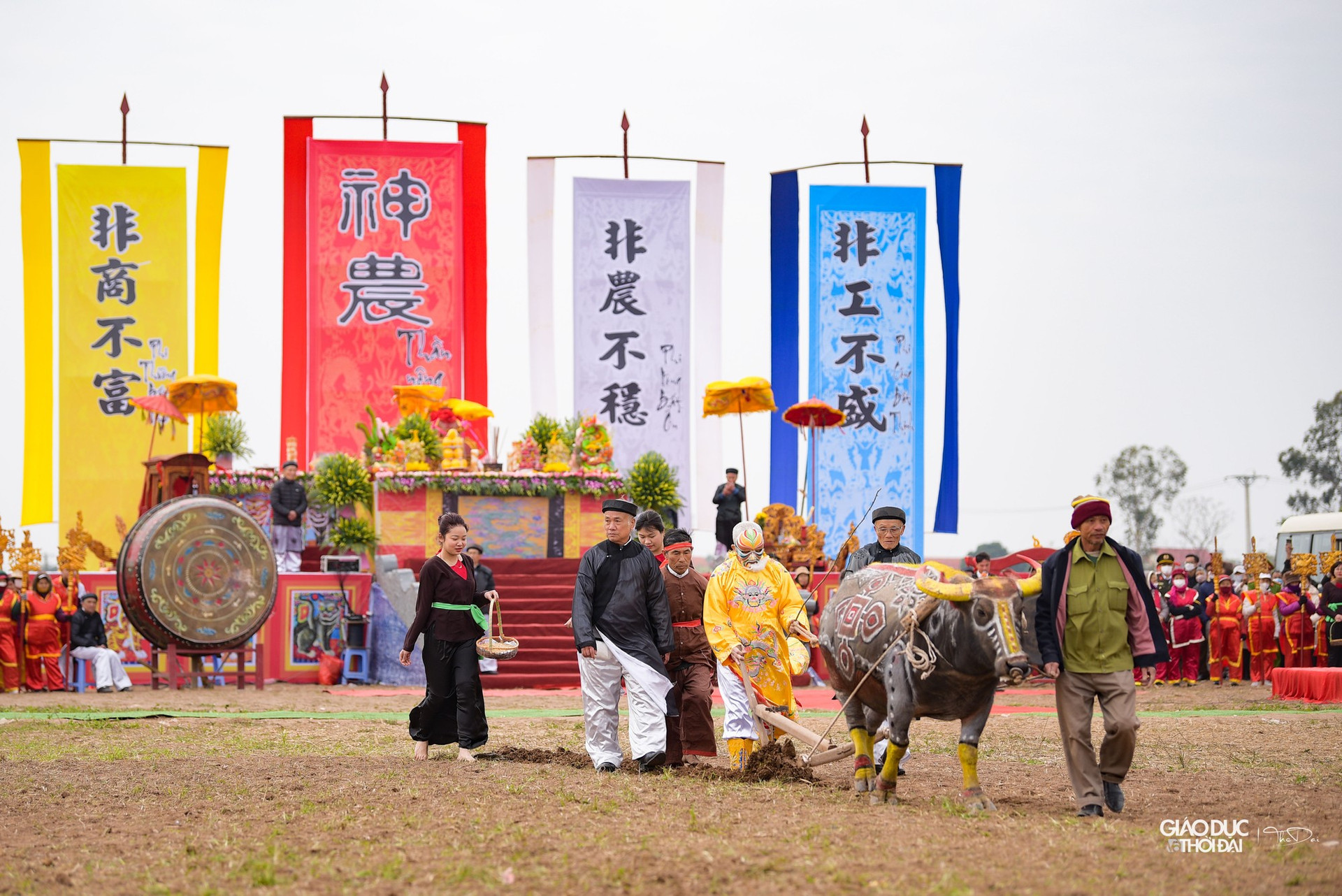 Hàng ngàn người đến xem 'vua' cày ruộng trong Lễ hội Tịch điền ảnh 17