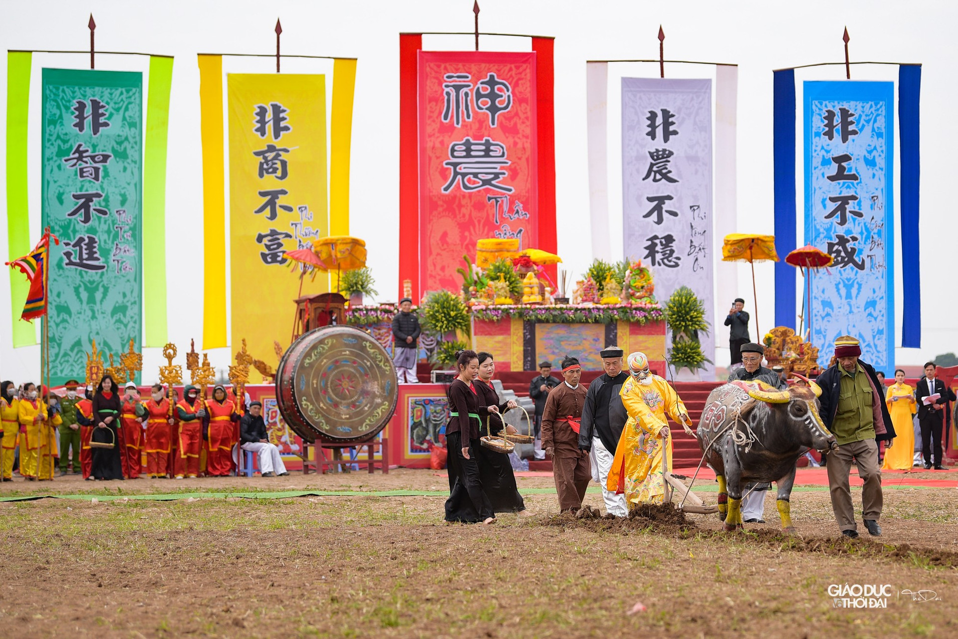 Hàng ngàn người đến xem 'vua' cày ruộng trong Lễ hội Tịch điền ảnh 20