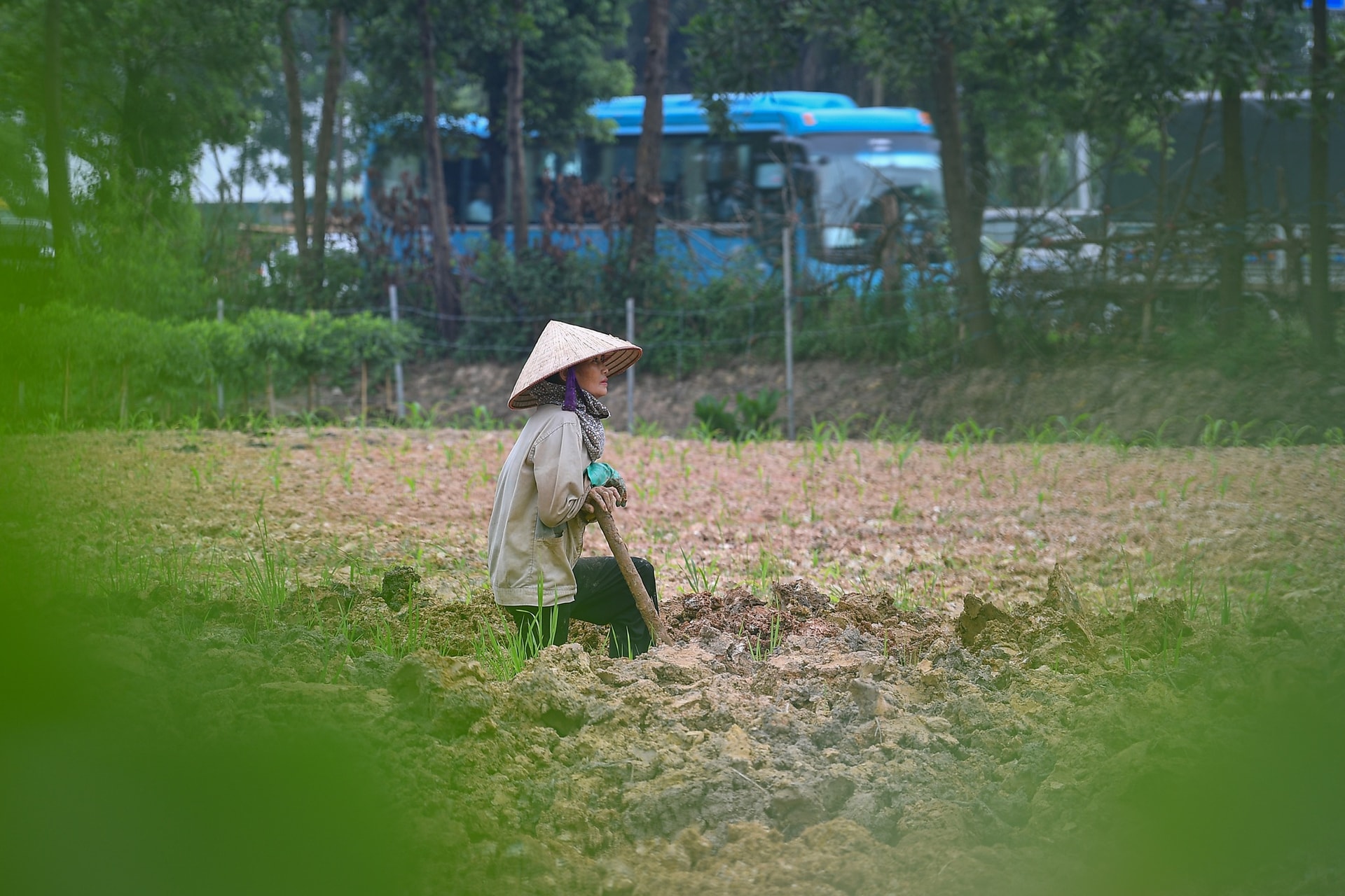 Đông Anh có gì trước ngày lên quận? - 14