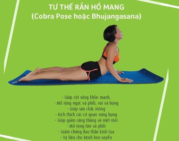 yogo-tu-the-ran-ho-mang.png