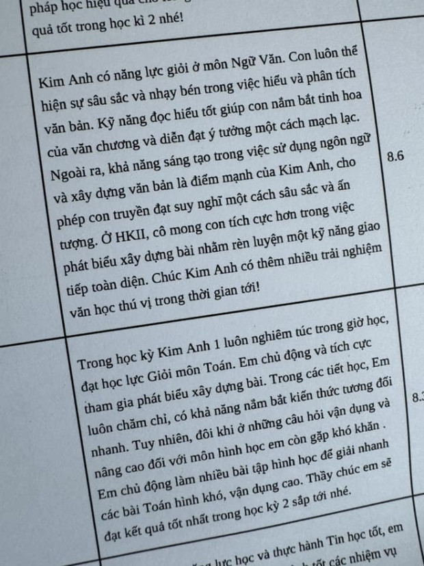 Nhạc sĩ Nguyễn Văn Chung khoe nhận xét tổng kết học kỳ 1 của hai con, người hâm mộ chưa kịp khen đã sang chấn - Ảnh 1.