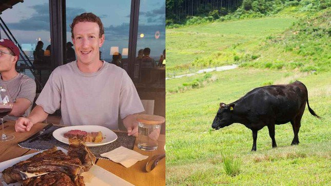 Tỷ phú Mark Zuckerberg chăn nuôi gia súc ở đảo Hawaii - 1