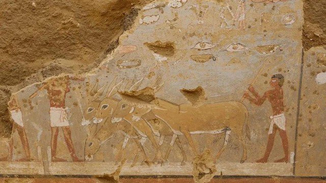 Một bức tranh tường trong ngôi mộ nữ tư tế Ai Cập và phu quân - Ảnh: BỘ DU LỊCH VÀ CỔ VẬT AI CẬP