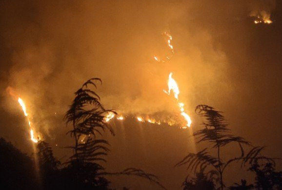 Đến tối cùng ngày, diện tích cháy rừng vẫn lây lan rộng chưa thể khống chế.