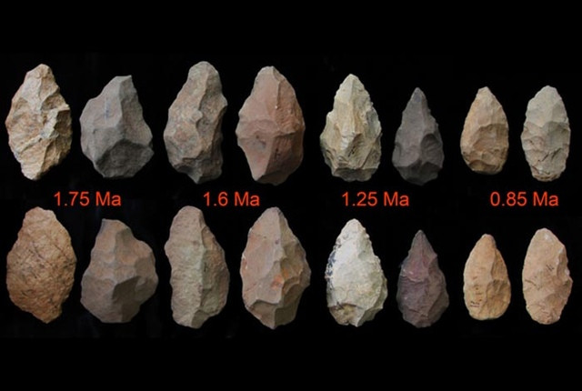 Bằng chứng khảo cổ 1,6 triệu năm tuổi thay đổi cái nhìn của co người về lịch sử ngôn ngữ - Ảnh 4.