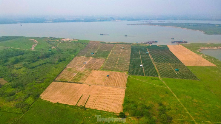Toàn cảnh vị trí xây cầu Hồng Hà gần 10.000 tỷ đồng nối hai huyện ở Hà Nội - 8