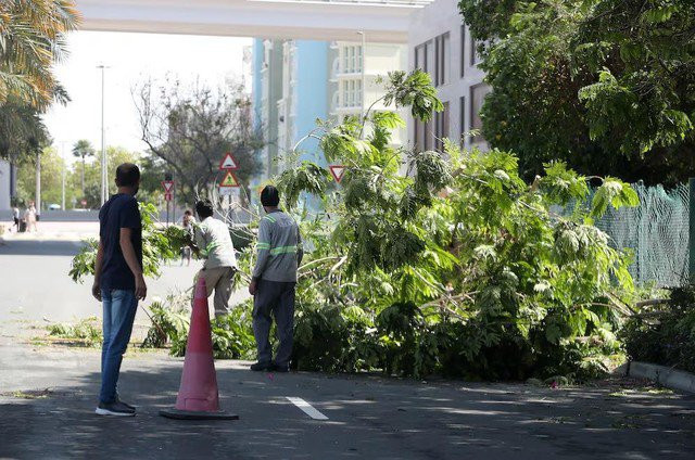 Một số tuyến đường không ngập nhưng cây cối ngã đổ do giông bão -Ảnh: THE NATIONAL