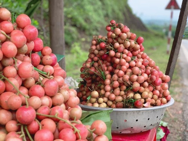 Mùa dâu da chi chít từ gốc đến ngọn, nông dân thu tiền triệu mỗi vụ - Ảnh 16.