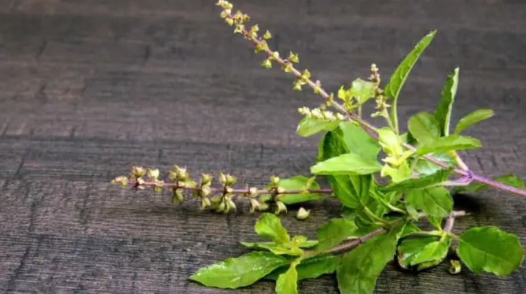 6 loi ich voi suc khoe cua nuoc huong nhu tia hinh anh 2