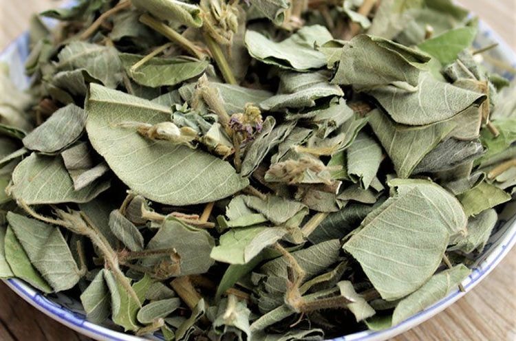 <p></p><p>Trong đông y kim tiền thảo cần được sử dụng theo chỉ dẫn của thầy thuốc</p><p>