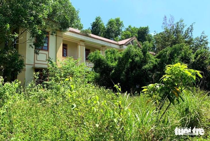 dạy nghề - Ảnh 4.
