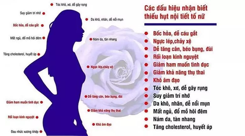 mat-can-bang-noi-tiet-to-nu.jpg