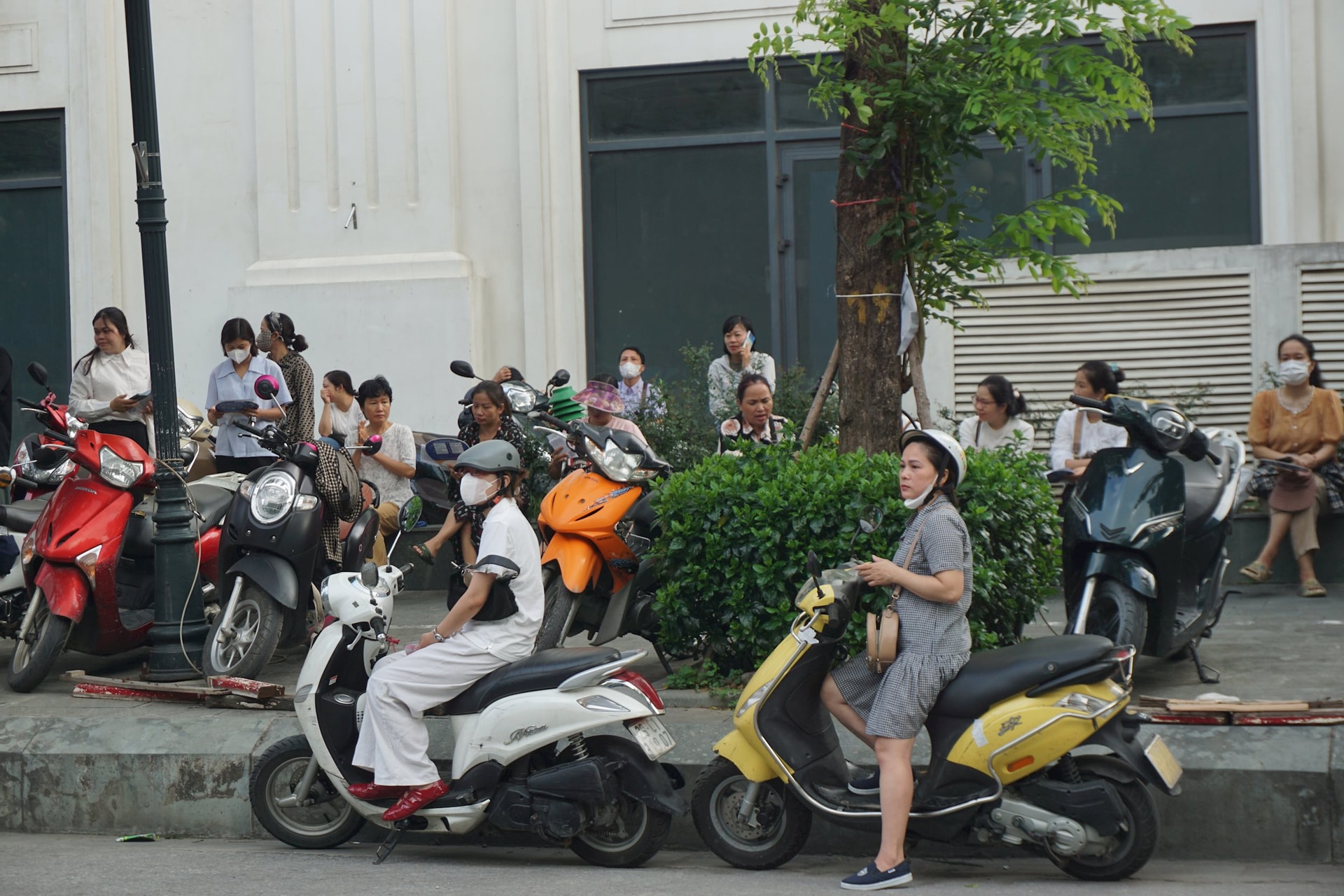 dsc08786.jpg