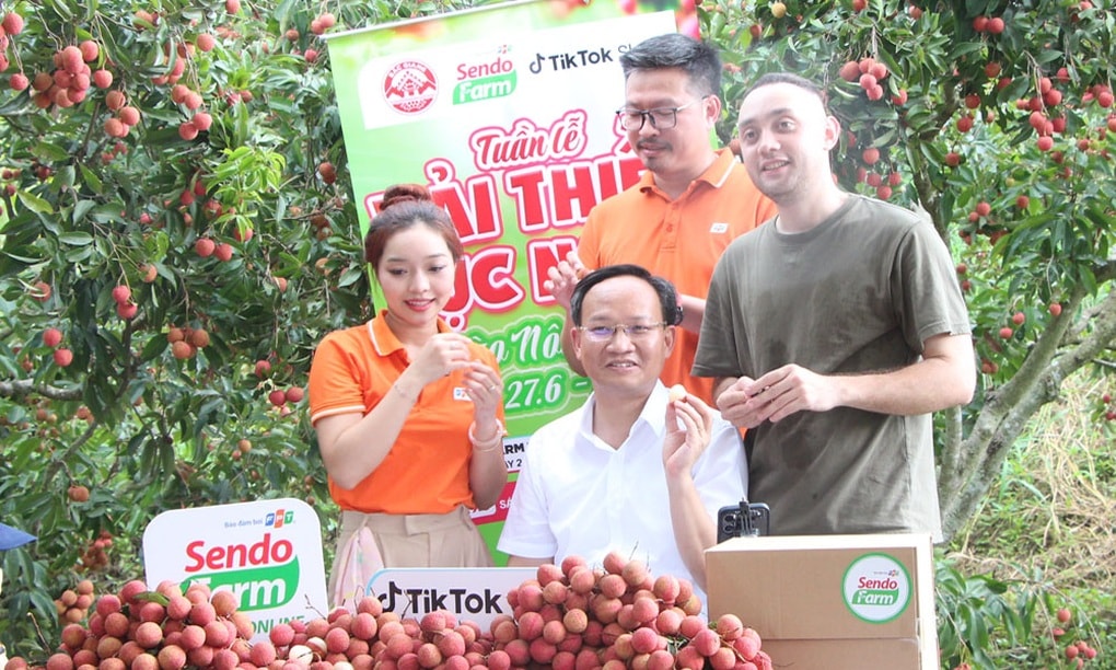 Phó Chủ tịch UBND tỉnh livestream chốt đơn hàng tấn vải thiều - 1