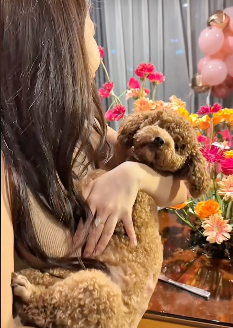 Tranh cãi chuyện cô gái Hà Nội chi 50 triệu đồng tổ chức sinh nhật cho chó - 6