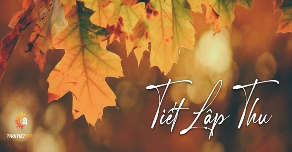 tiet-lap-thu-thumb.jpg