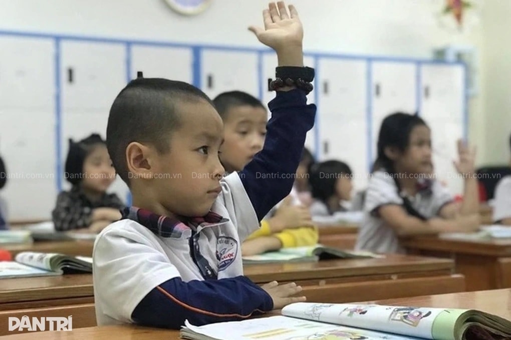 Ai được bổ nhiệm hiệu trưởng trường cấp 1, cấp 2 khi không còn cấp huyện? - 2