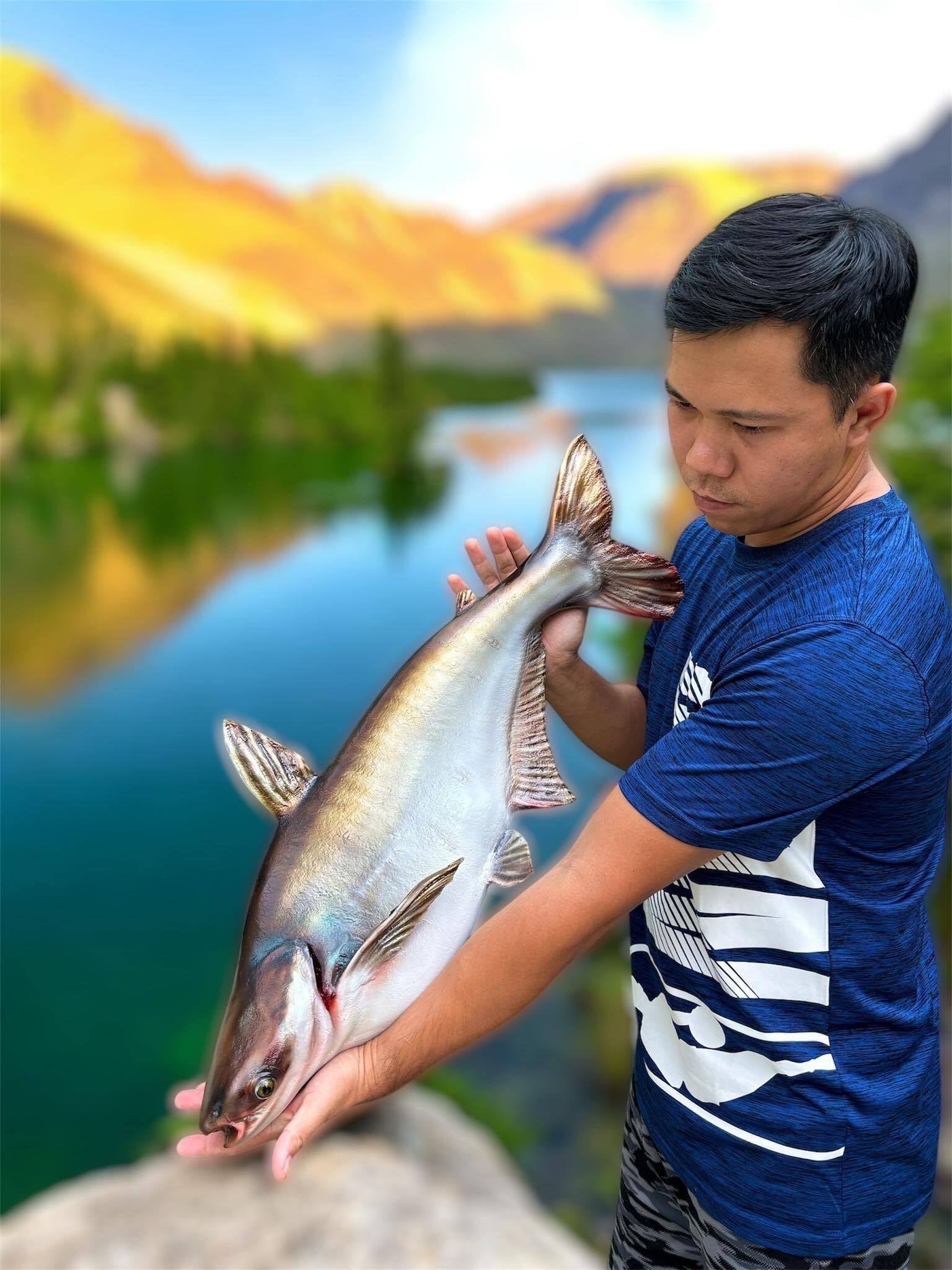 Những con cá 'không bao giờ chết' của chàng trai Lâm Đồng - 29