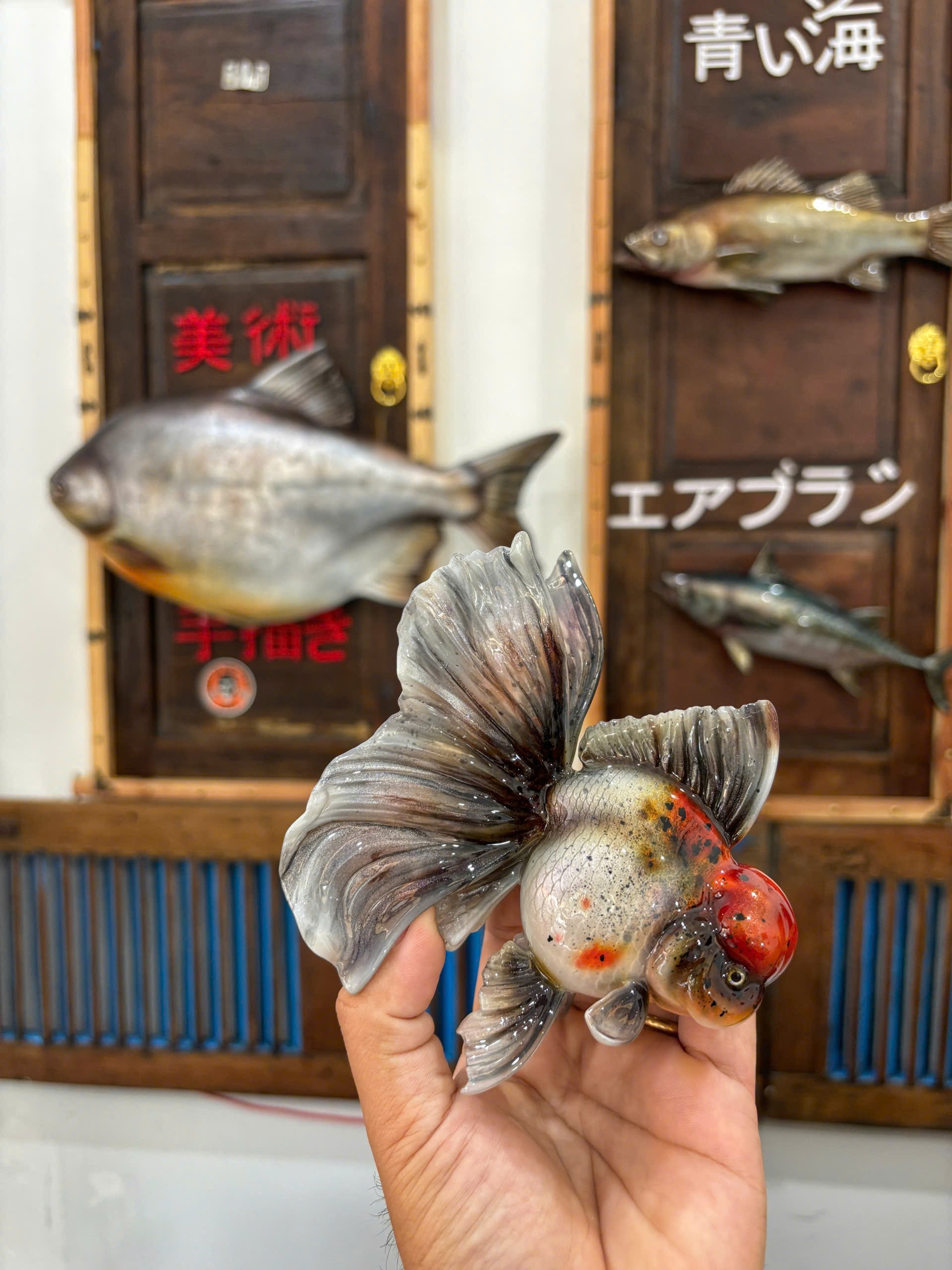 Những con cá 'không bao giờ chết' của chàng trai Lâm Đồng - 19