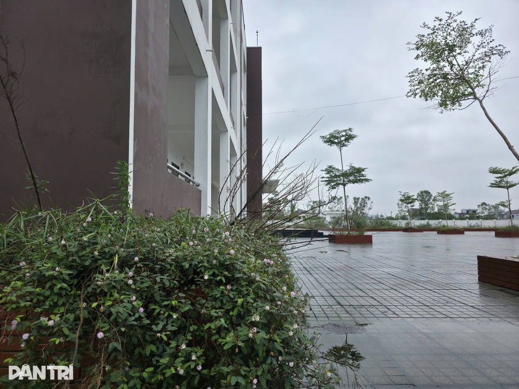 Trường học gần 23 tỷ đồng xây xong bỏ không, hiệu trưởng nói gì? - 3