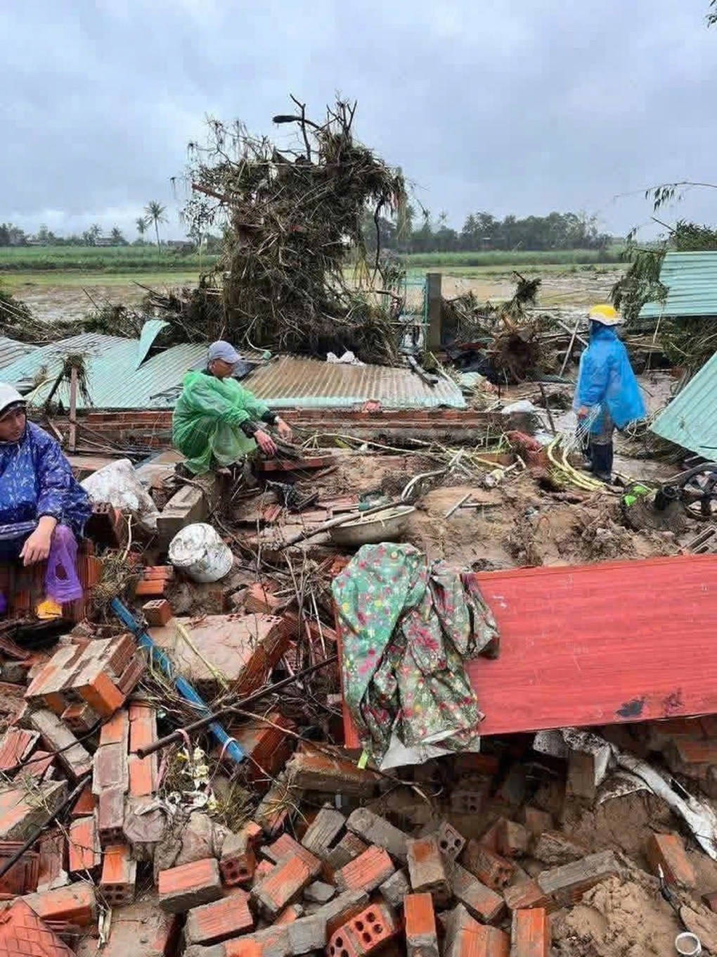 Cô giáo tiểu học ở Đắk Lắk kêu cứu, tha thiết xin cứu trợ vào các thôn sâu - 4