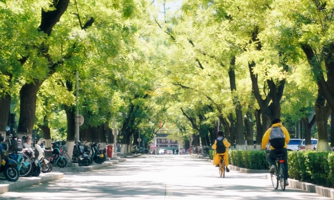 Khuôn viên Đại học Bắc Kinh, Trung Quốc, giữa tháng 9/2025. Ảnh: Peking University Fanpage