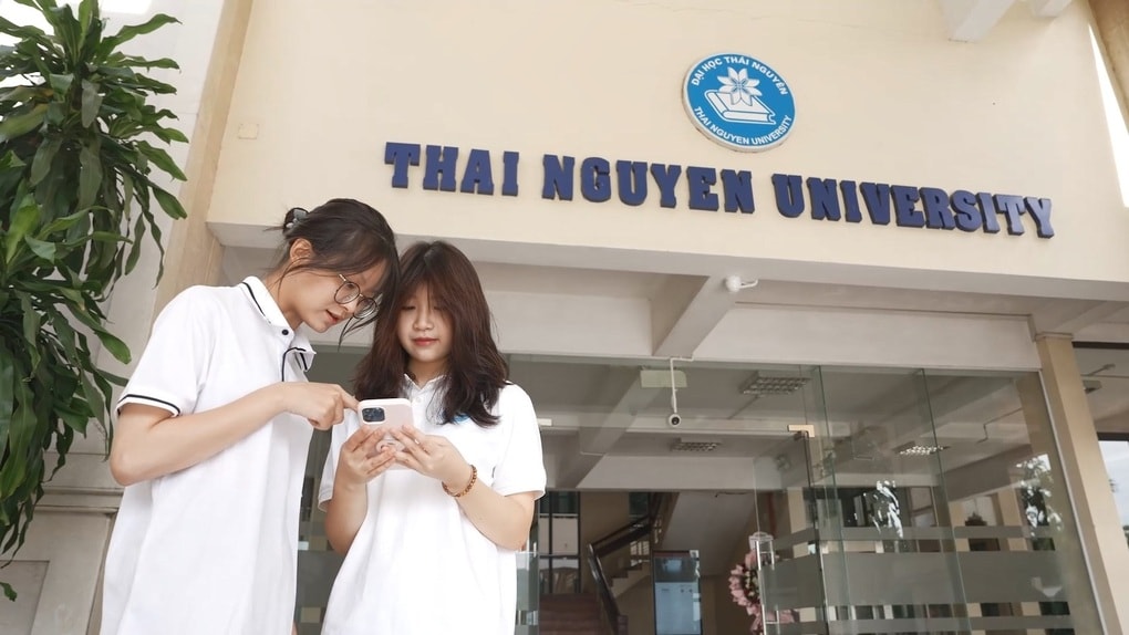 Giữ hay bỏ đại học vùng? - 1