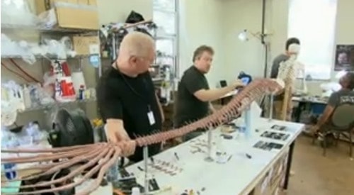 Sự thật bất ngờ về “xác nàng tiên cá” trên bãi biển - 2