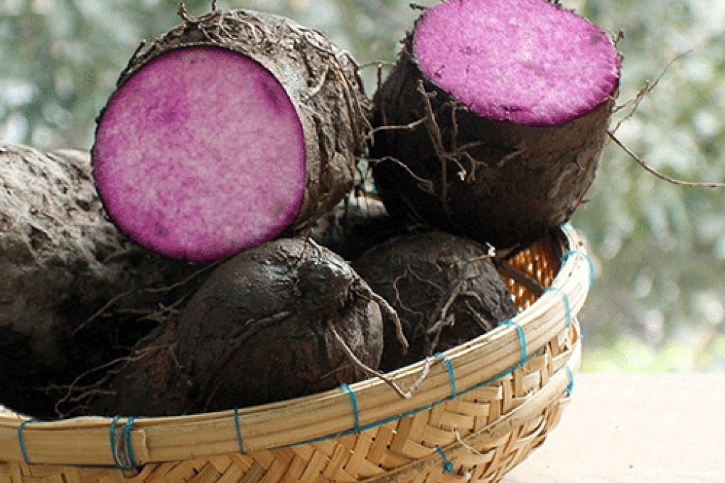 Mùa lạnh, 3 món ăn giúp dưỡng gan bổ thận - 3