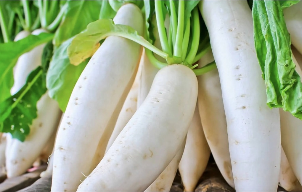 Loại củ dân dã được ví như “nhân sâm mùa đông” - 1