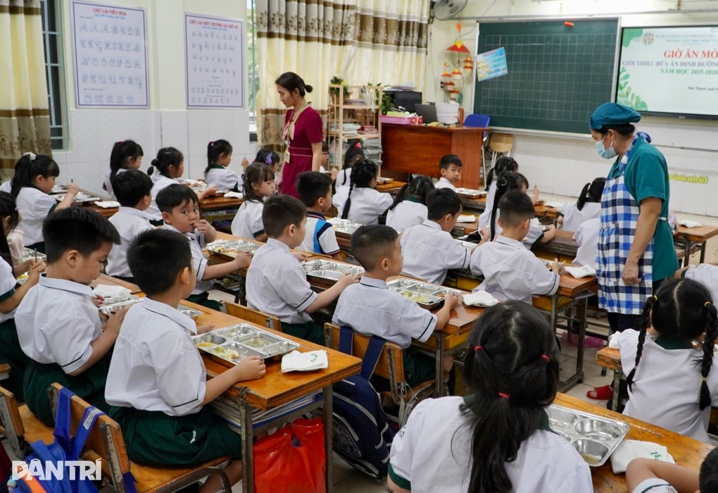 TPHCM: Không dùng dầu chiên lại, đồ nhựa một lần trong bữa ăn bán trú - 3