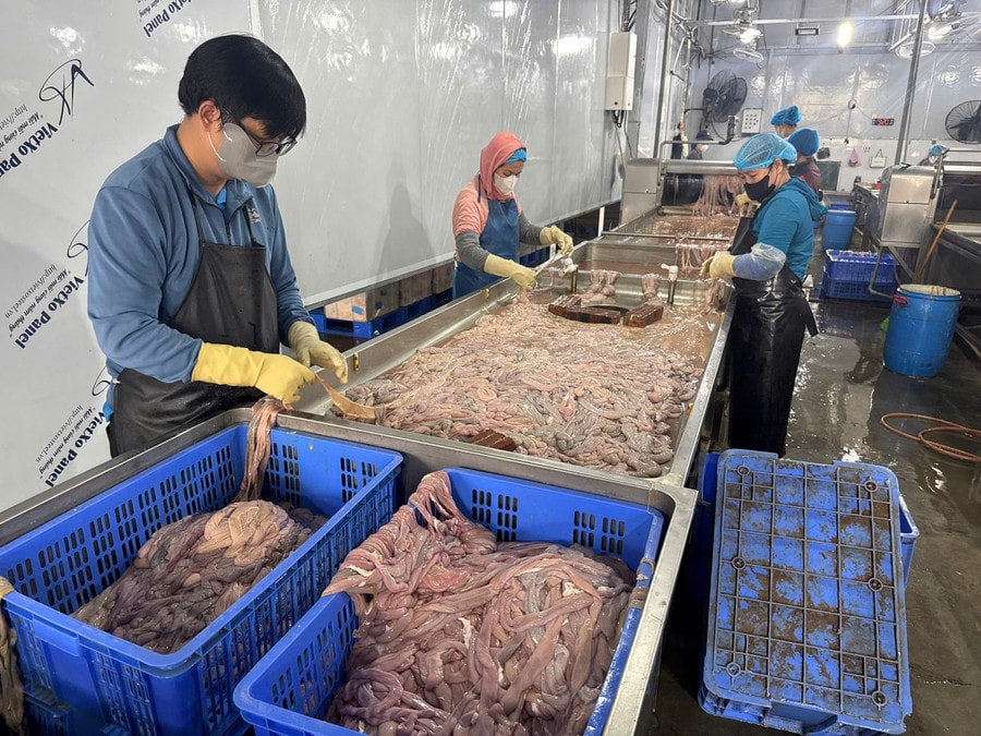 Kho lạnh chứa hàng chục tấn lòng lợn không rõ nguồn gốc suốt nhiều tháng (Ảnh CAHN).