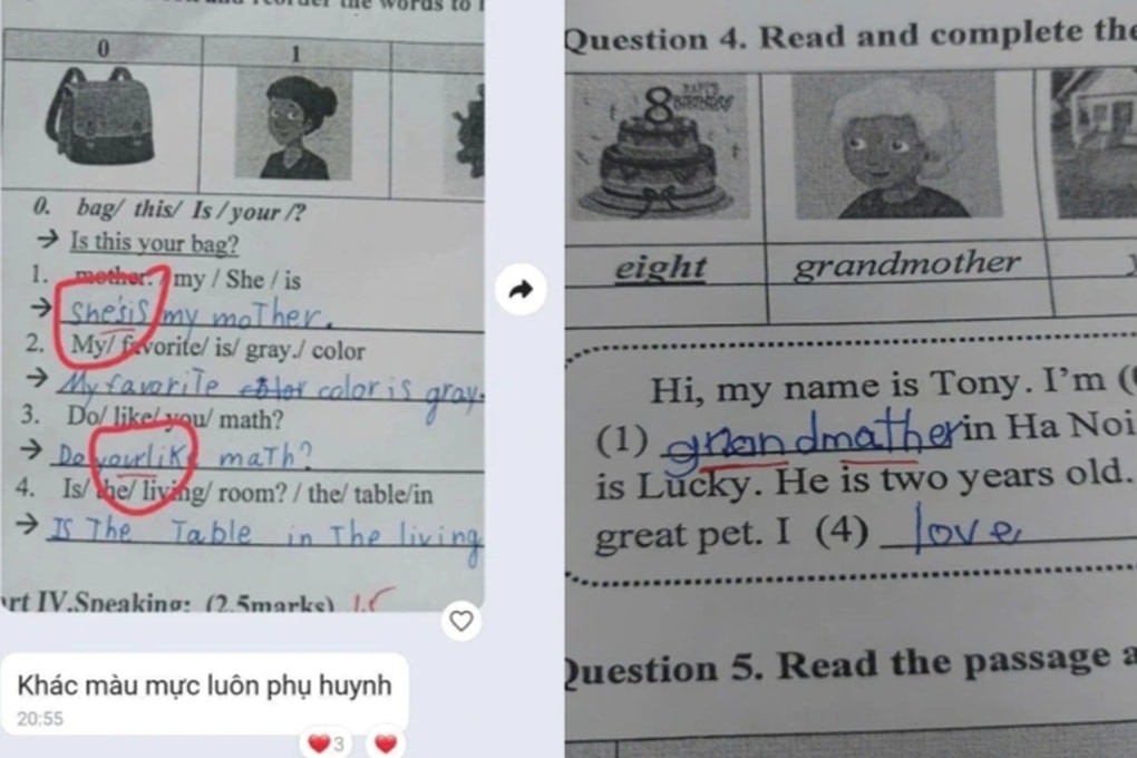 Chấm lại toàn bộ bài kiểm tra vụ giáo viên tiếng Anh sửa điểm - 1