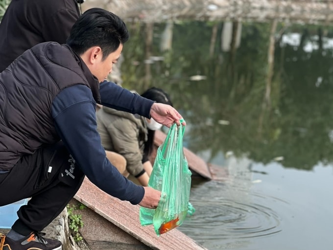 Người dân thả cá chép ra hồ điều hòa Mai Dịch, Hà Nội sau khi làm lễ cúng ông Táo, sáng 10/2. Ảnh: Hoàng Phương
