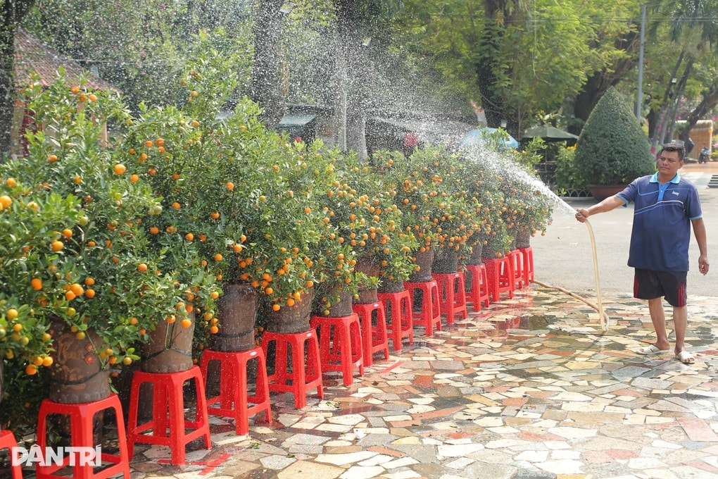 Thời tiết ở TPHCM và Nam Bộ dịp Tết Bính Ngọ 2026 - 1