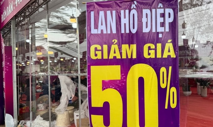 Điểm bán lan hồ điệp trên đường Lạc Long Quân hạ giá 50% toàn bộ cửa hàng trưa 15/2. Ảnh: Anh Tú