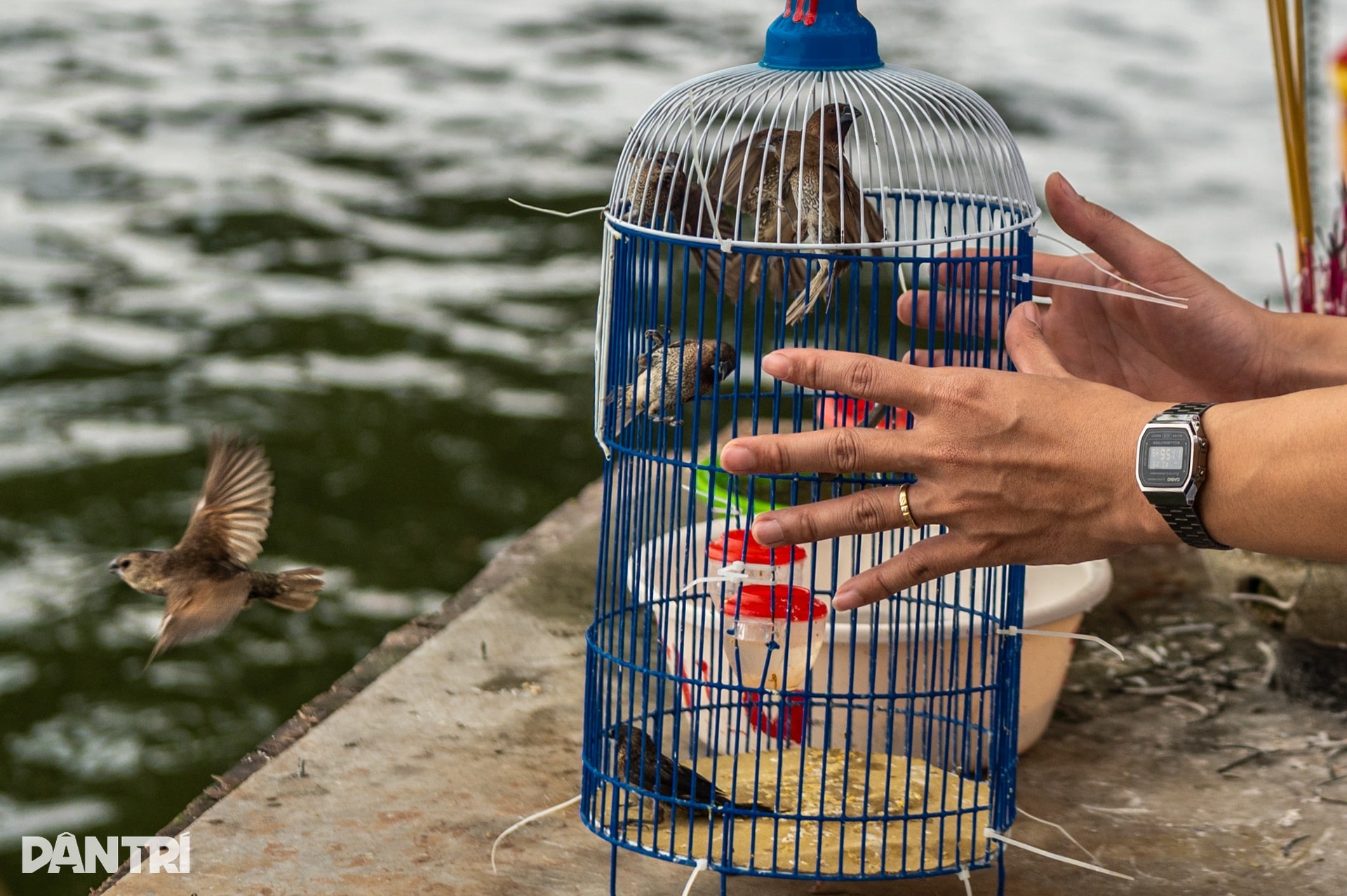 Hàng nghìn người đổ về Phủ Tây Hồ trong ngày đi làm đầu năm - 13