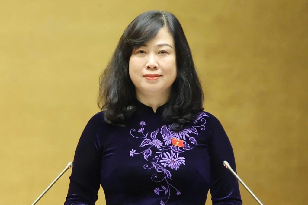 4 bộ trưởng là Ủy viên Bộ Chính trị ứng cử đại biểu Quốc hội - 4