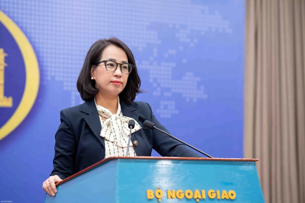 Thông tin về tình hình hơn 12.000 công dân Việt Nam ở Trung Đông - 1