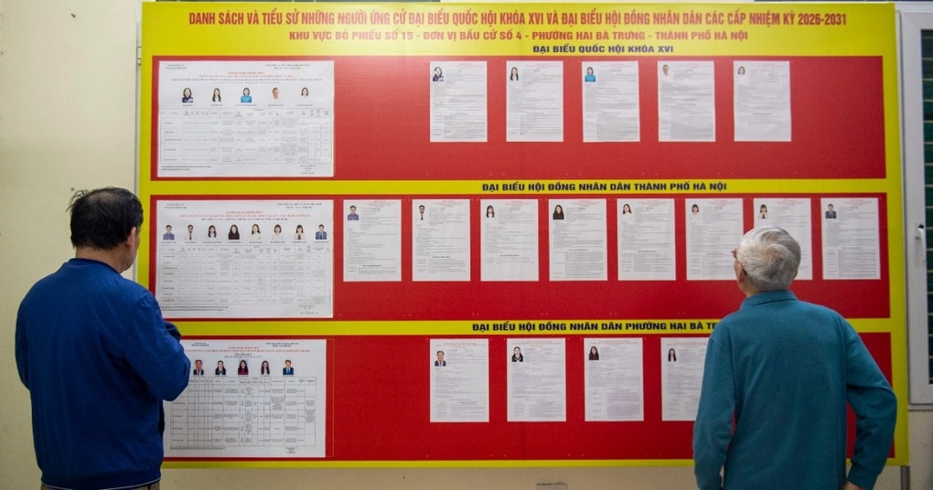 Quy trình bỏ phiếu bầu cử diễn ra như thế nào? - 1