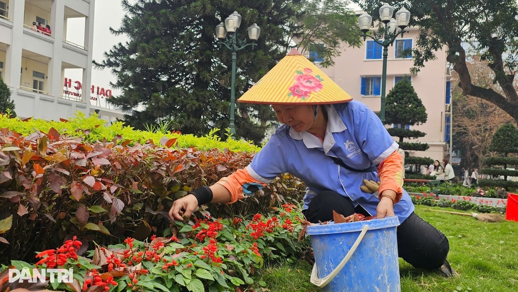 Bất ngờ nữ lao công Đại học Hà Nội “bắn” tiếng Nga, biết nhiều ngoại ngữ - 2