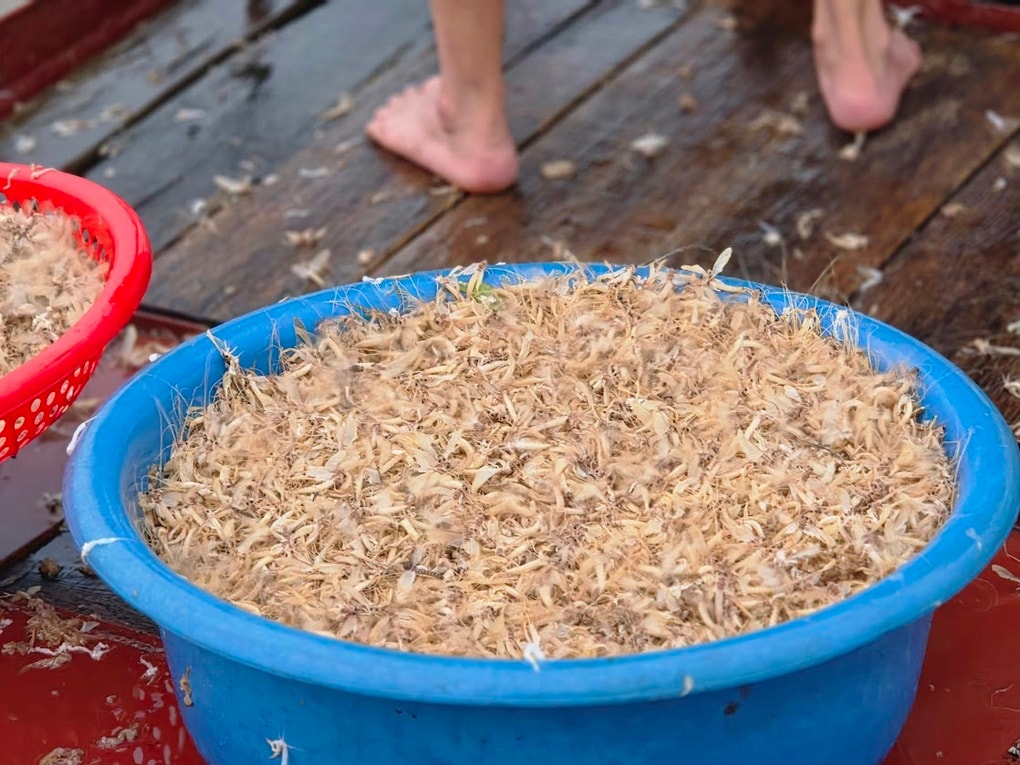 Đặc sản ở Hà Nội xuất hiện 30 phút rồi chết, muốn bắt phải canh cả đêm - 3