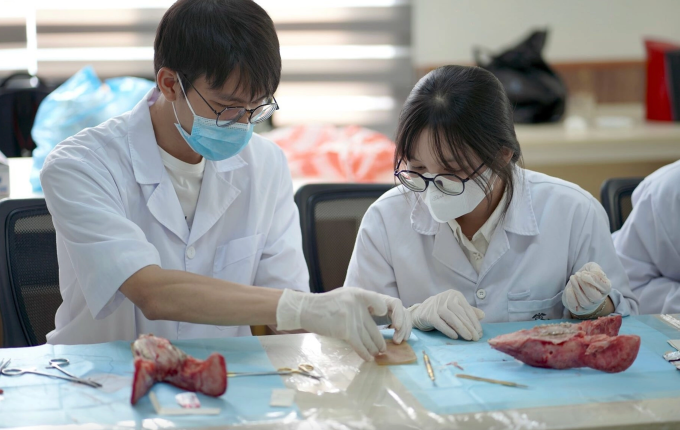 Sinh viên ngành Răng Hàm Mặt của trường Đại học Y Dược trong workshop về phẫu thuật trong miệng. Ảnh: LCĐ Răng Hàm Mặt