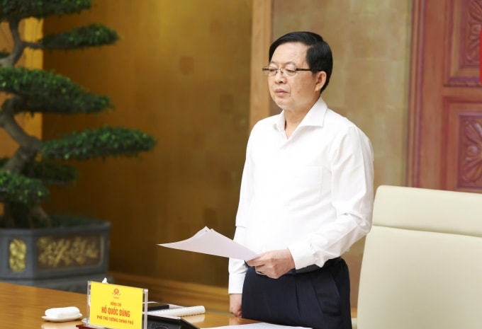 Phó thủ tướng Hồ Quốc Dũng phát biểu tại hội nghị sơ kết đợt cao điểm đấu tranh, ngăn chặn, xử lý hành vi xâm phạm quyền sở hữu trí tuệ, sáng 2/6. Ảnh: Gia Huy